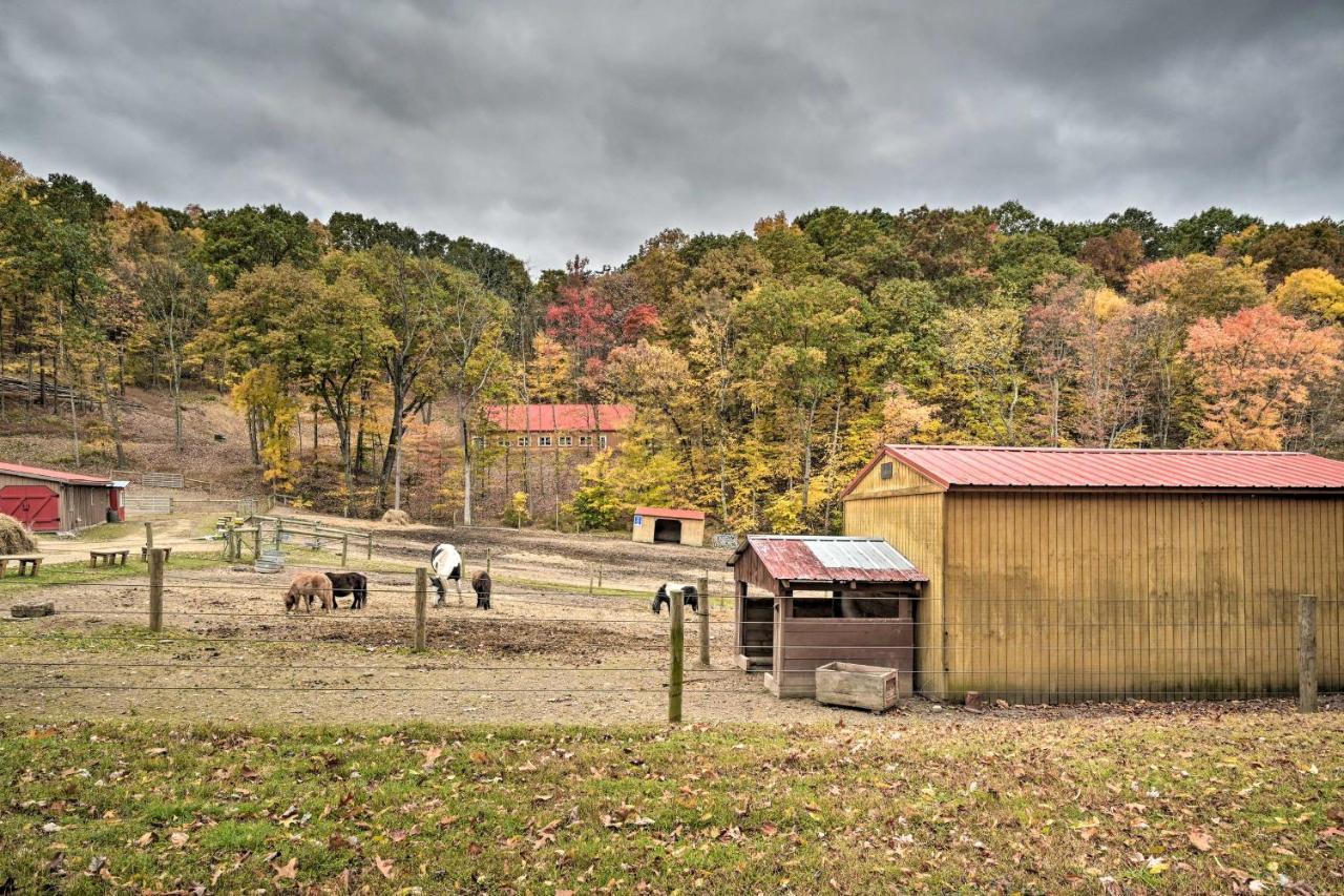 Rustic Clint Eastwood Ranch Apt By Raystown Lake Huntingdon Exterior foto