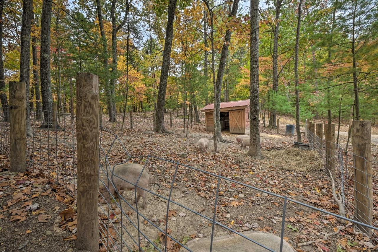 Rustic Clint Eastwood Ranch Apt By Raystown Lake Huntingdon Exterior foto